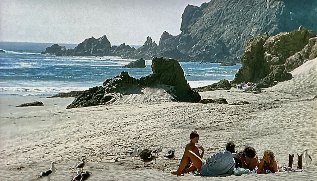 Die beiden Pärchen sitzen in einer am Strand